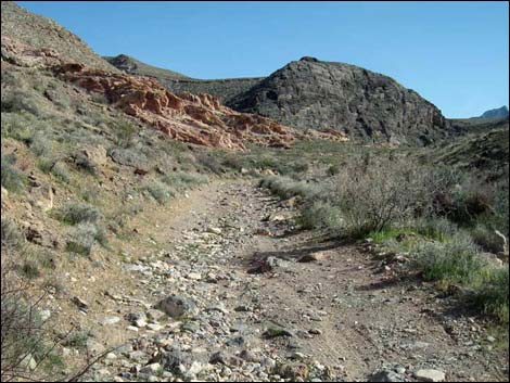 Colorock Canyon Loop