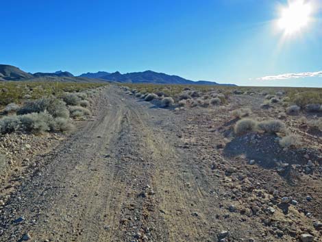 Colorock Quarry Road