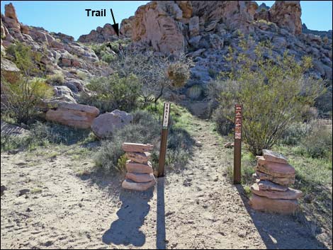 Arch Trailhead