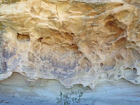 Muddy Mountains Petroglyphs