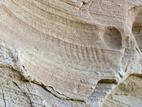 Muddy Mountains Petroglyphs