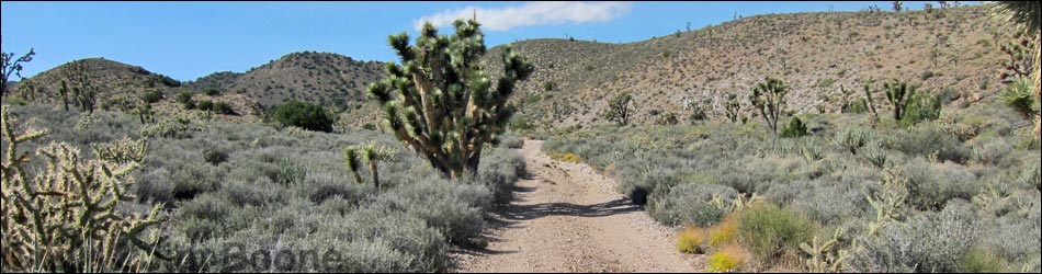 Pine Spring Road, South Fork