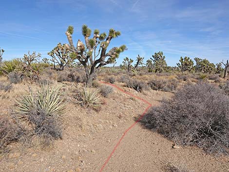 El Dorado Wagon Road Trail