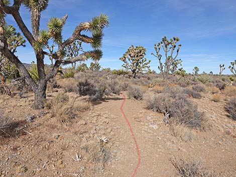 El Dorado Wagon Road Trail