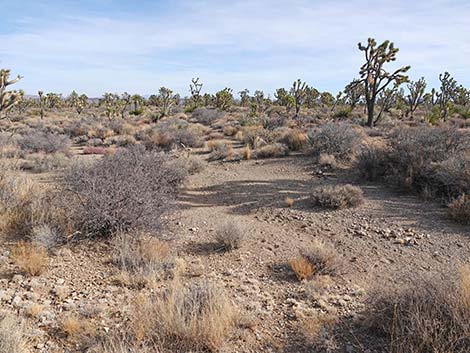 El Dorado Wagon Road Trail