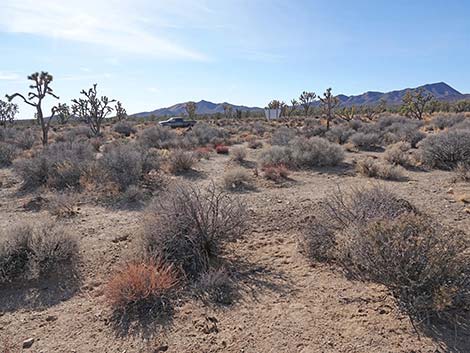 El Dorado Wagon Road Trail