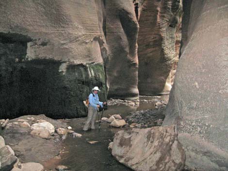 Orderville Canyon