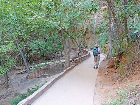 Riverside Walk Trail