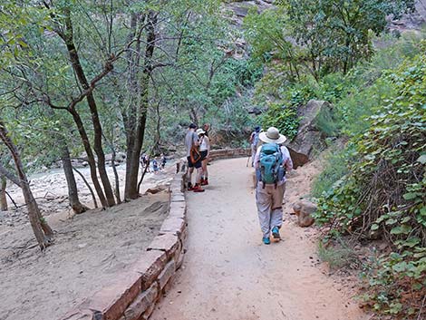 Riverside Walk Trail