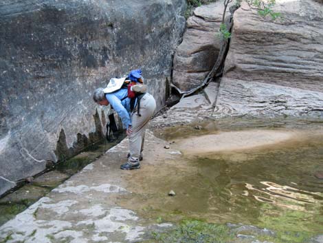 Zion Subway