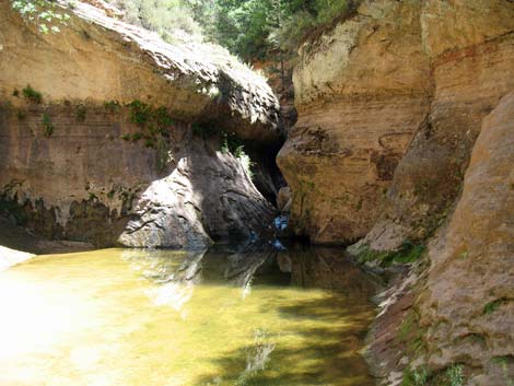 Zion Subway