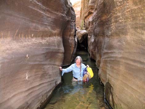 Zion Subway