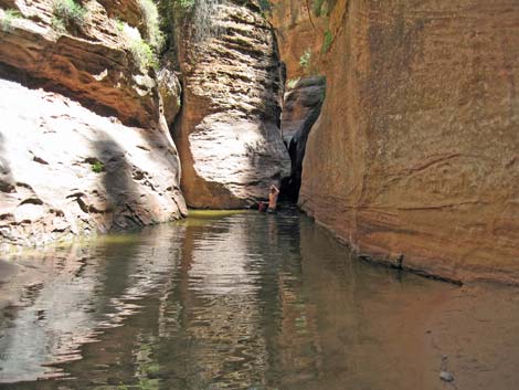 Zion Subway