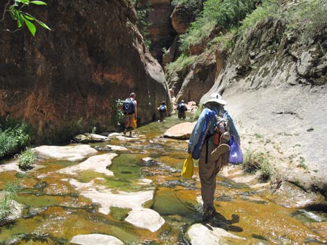 Zion Subway