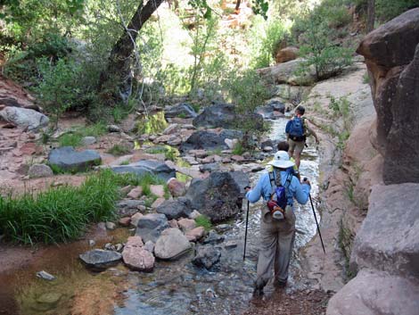 Zion Subway