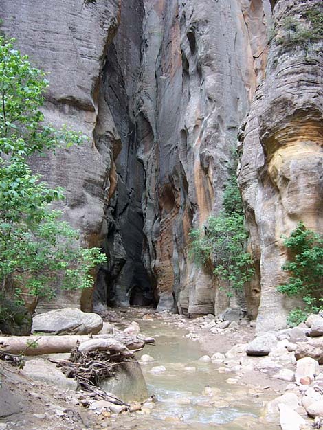 Zion Virgin River Narrows