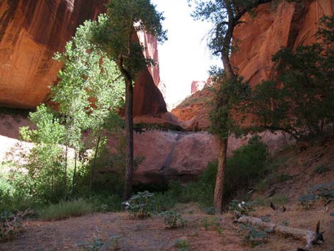 coyote gulch