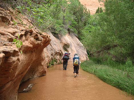 Coyote Gulch