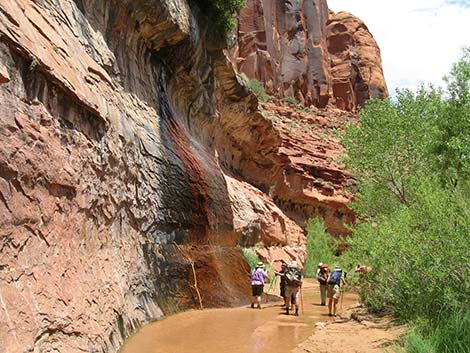 Coyote Gulch