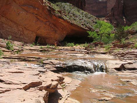 Coyote Gulch