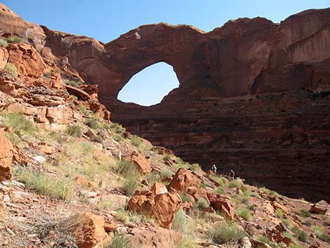 Coyote Gulch