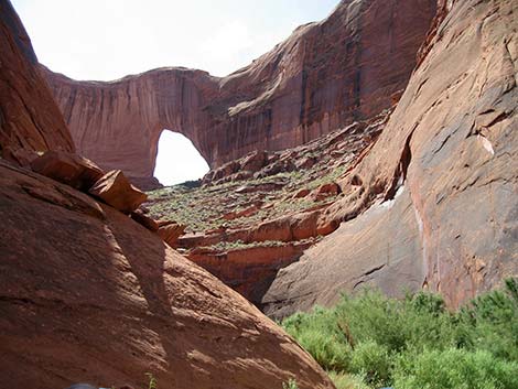 Coyote Gulch