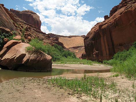 Coyote Gulch