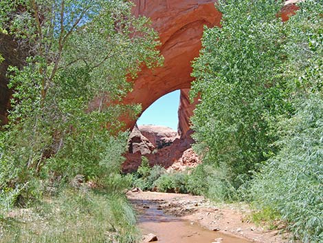 coyote gulch