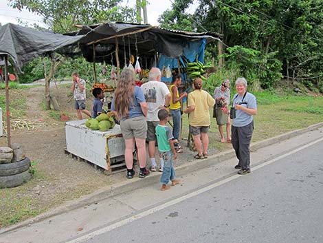 Jamaica