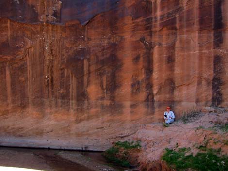 Coyote Gulch