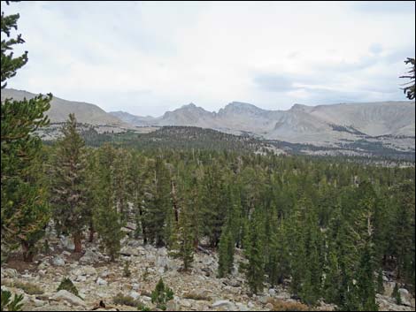 John Muir Trail