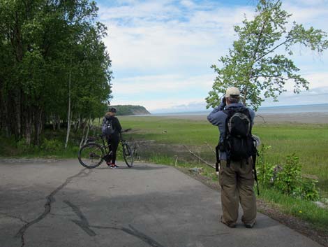 Alaska Birding