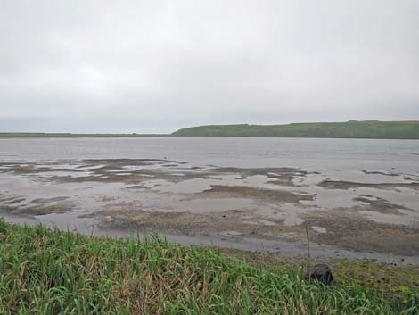 St. Paul, Pribilof Islands