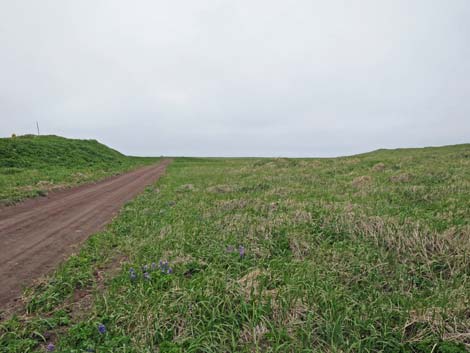 St. Paul, Pribilof Islands