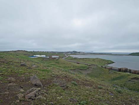 St. Paul, Pribilof Islands