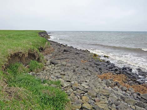 St. Paul, Pribilof Islands