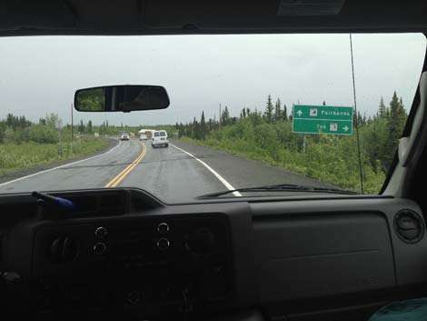 Denali birding