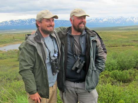 Denali birding