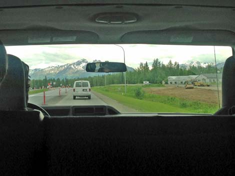 Denali birding