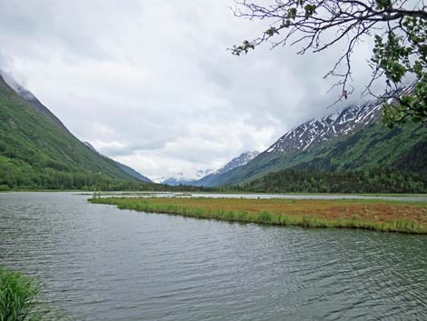 Seward birding