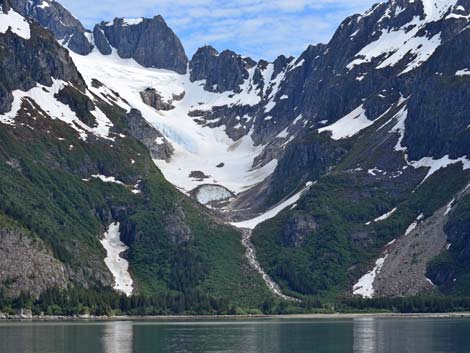 Seward birding