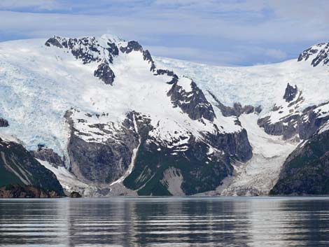 Seward birding