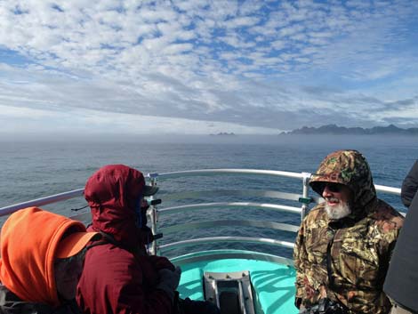 Seward birding