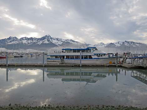 Seward birding