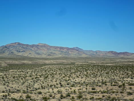 Delamar Mountains Wilderness Area