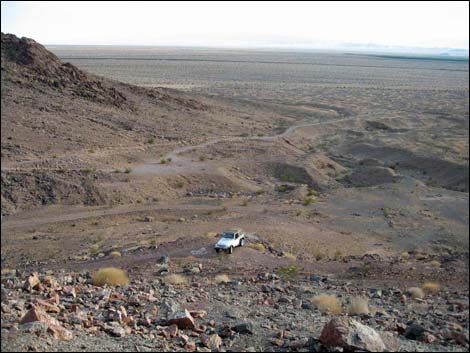 Cadiz Trilobite Quarry