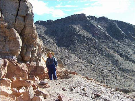 Cadiz Trilobite Quarry