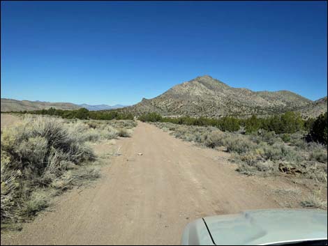 Oak Springs Trilobite Site