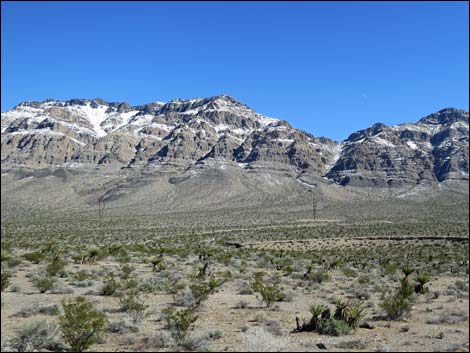 Arrow Canyon Wilderness Area