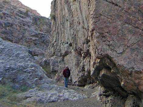 Black Canyon Wilderness Area